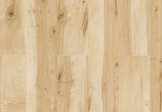 1867 Floors 12mm Concerto Edge Laminate Flooring