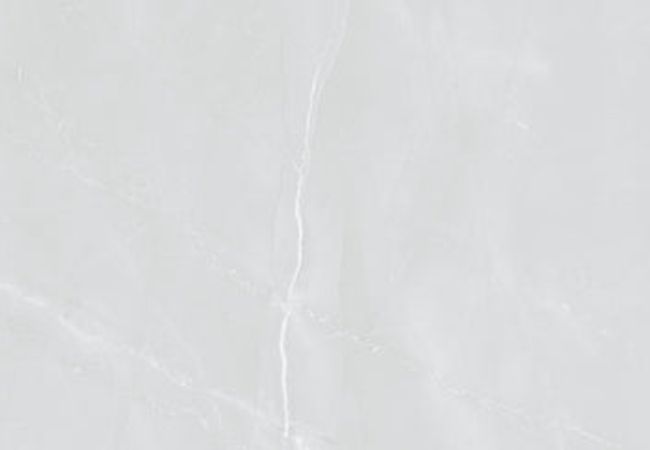 Amazing Porcelain Tile Amaretto Silver Matt 24x48