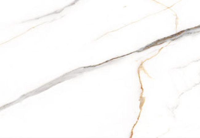 Amazing Porcelain Tile Angel Satvario 24x48