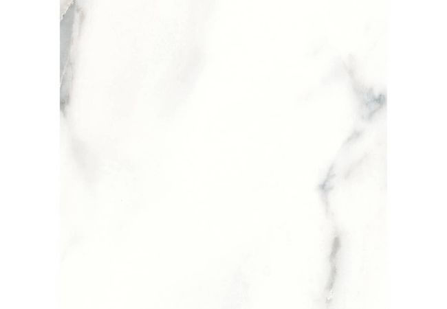 Anatolia Tile Classic Calacatta Porcelain 12 x 12 Pressed Matte