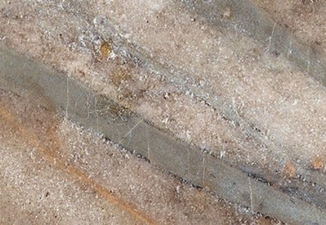 Anatolia Tile Earth Evolution 3x12 Porcelain Bullnose Tile 69 344