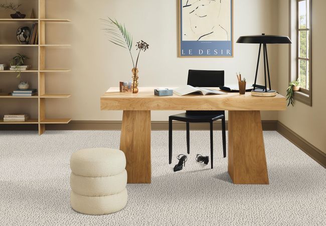 Anderson Tuftex Ambitious Canvas view 2