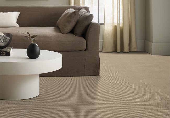 Anderson Tuftex Carpet Abbey's Road Bamboo view 2