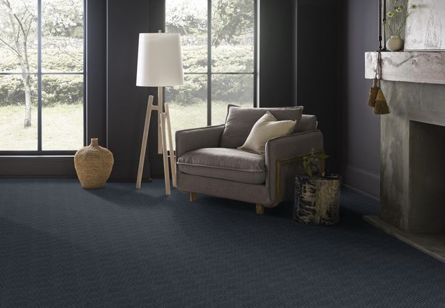 Anderson Tuftex Carpet Artifact Solstice view 2