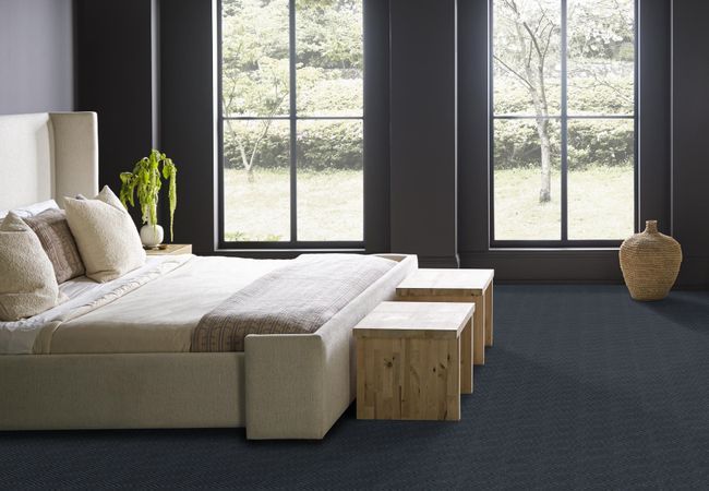 Anderson Tuftex Carpet Artifact Solstice view 3