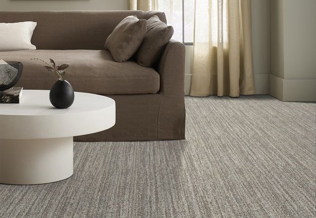 Anderson Tuftex Carpet Aspen Creek Winter Oak view 2