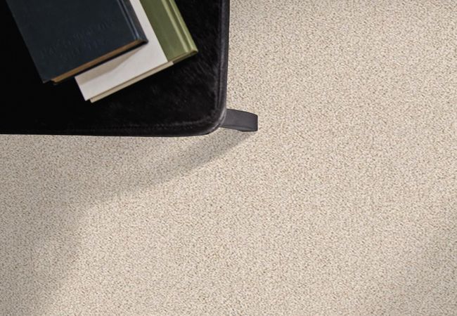 Anderson Tuftex Carpet Bali Birch view 2