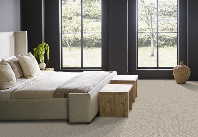 Anderson Tuftex Carpet Chase Birch view 3