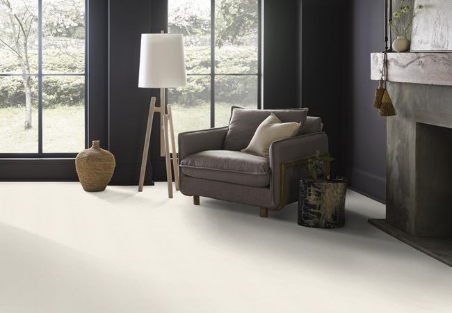 Anderson Tuftex Carpet Dynasty Froth view 2