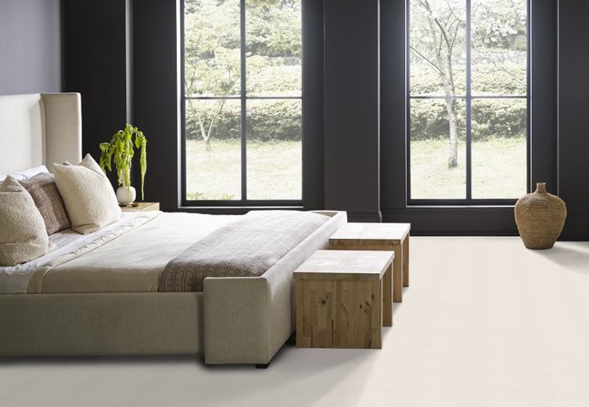 Anderson Tuftex Carpet Dynasty Home Plate view 3