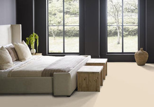 Anderson Tuftex Carpet Fair Isle Windswept view 3