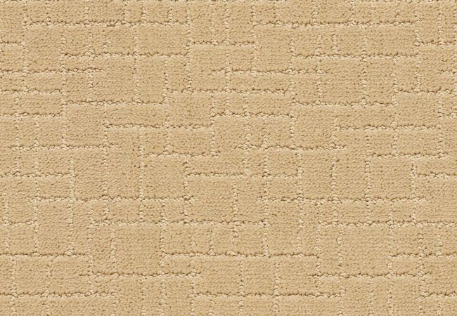 Anderson Tuftex Carpet Faux Paw Cork