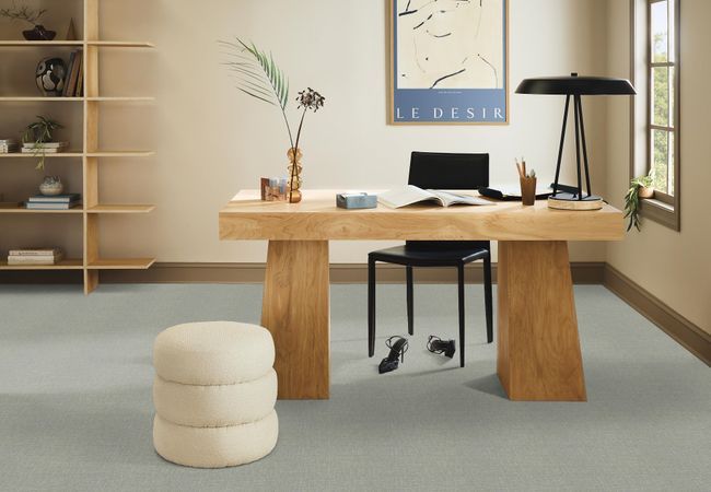 Anderson Tuftex Carpet Faux Paw Misty Lake view 2