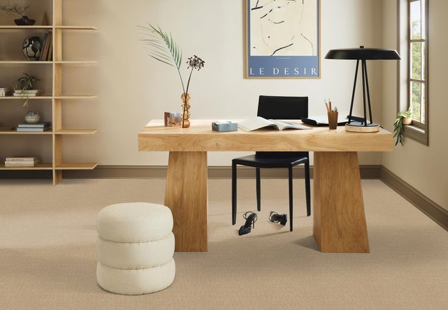 Anderson Tuftex Carpet Faux Paw Monterey view 2