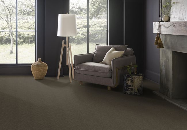 Anderson Tuftex Carpet Faux Paw Overcoat view 2