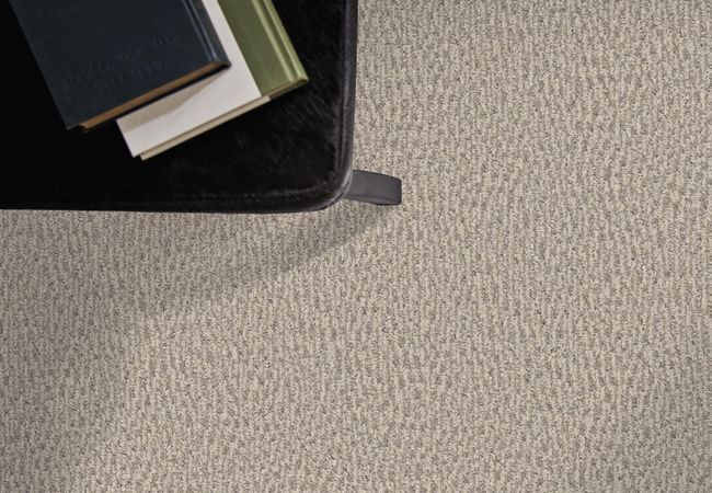 Anderson Tuftex Carpet Fur Ever Bennington view 2