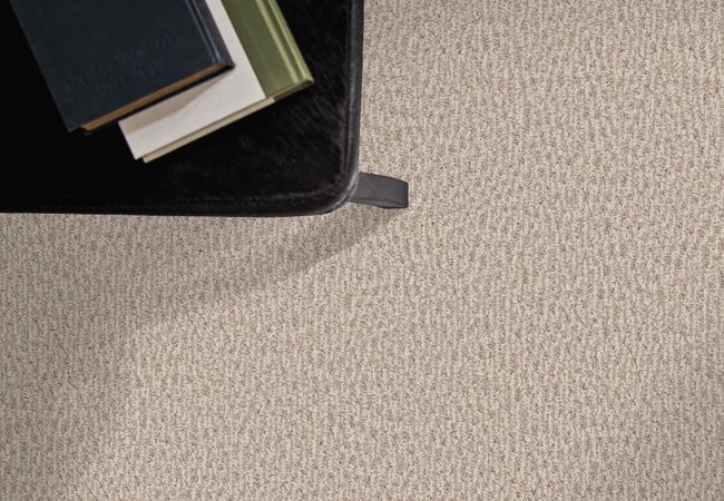 Anderson Tuftex Carpet Fur Ever Cedar view 2