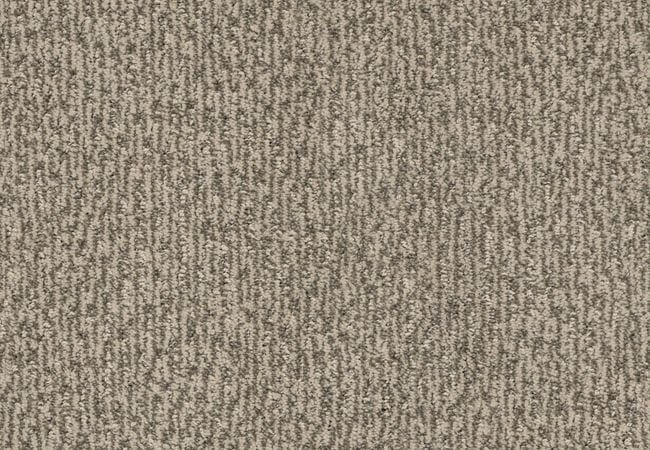 Anderson Tuftex Carpet Fur Ever Danville