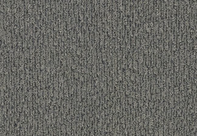 Anderson Tuftex Carpet Fur Ever Kendall