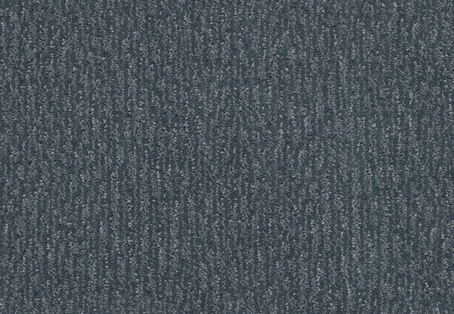 Anderson Tuftex Carpet Fur Ever Waterbury