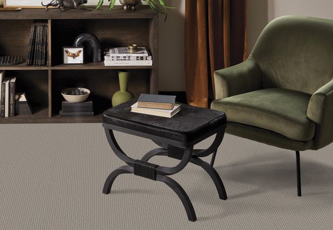 Anderson Tuftex Carpet Mera Huskie view 2