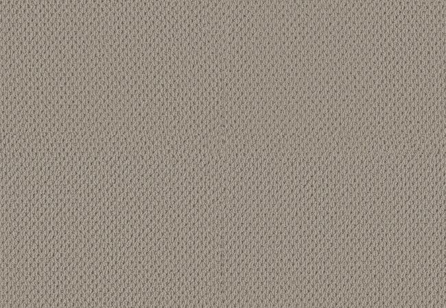 Anderson Tuftex Carpet Mera Portico