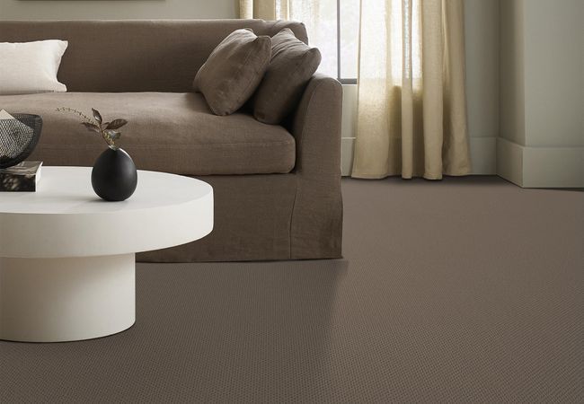 Anderson Tuftex Carpet Mera Shingle view 2