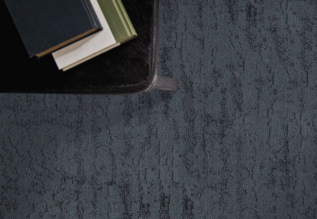 Anderson Tuftex Carpet Ming Solstice view 2