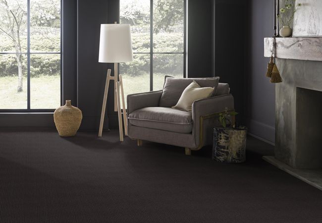 Anderson Tuftex Carpet Moondance After Dark view 2