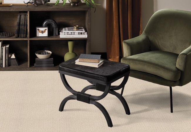 Anderson Tuftex Carpet Moondance Antique view 2