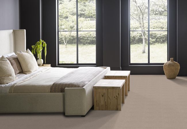 Anderson Tuftex Carpet Moondance Canvas view 3