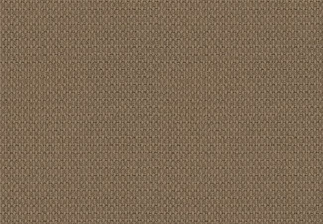 Anderson Tuftex Carpet Moondance Egyptian Sand