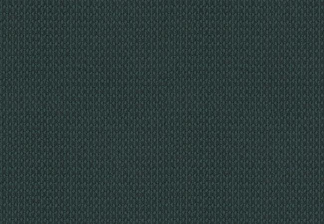 Anderson Tuftex Carpet Moondance Empress