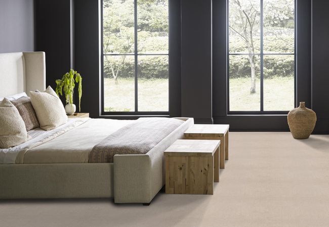 Anderson Tuftex Carpet Moondance Neutral Ground view 3