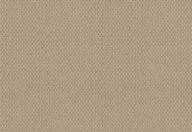 Anderson Tuftex Carpet Moondance Patience