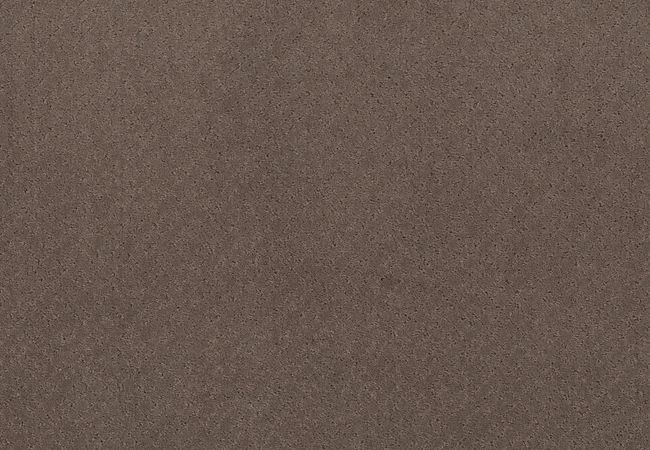 Anderson Tuftex Carpet Mosaic Chantrelle