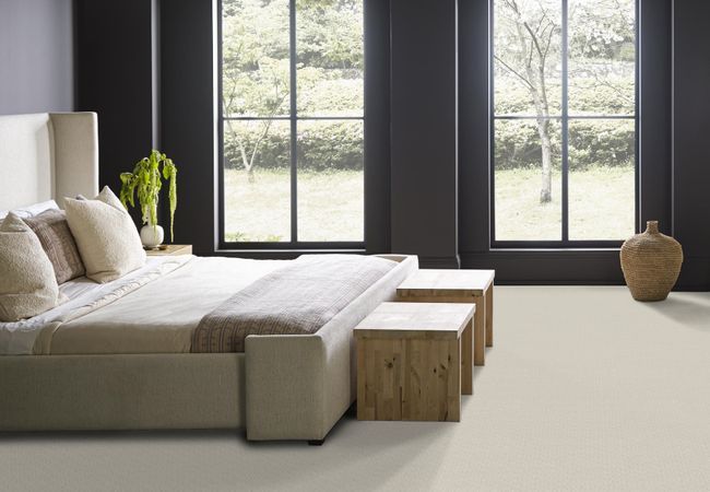 Anderson Tuftex Carpet Muse Aria view 3