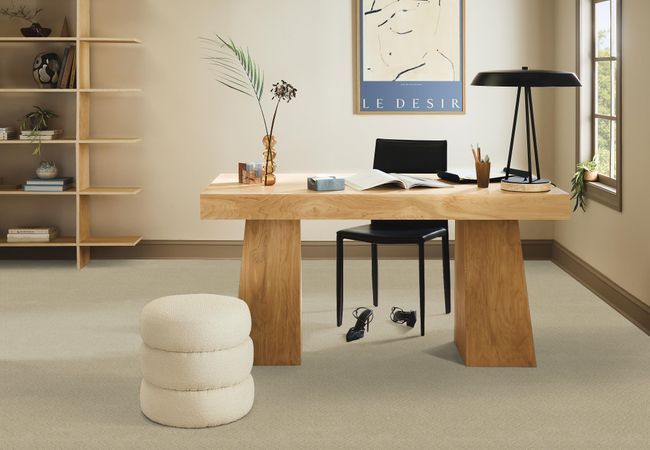 Anderson Tuftex Carpet Muse Bungalow view 2