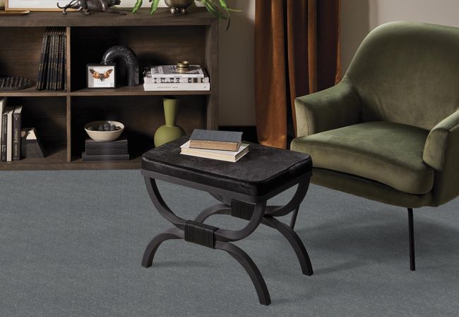Anderson Tuftex Carpet Muse Comet view 2