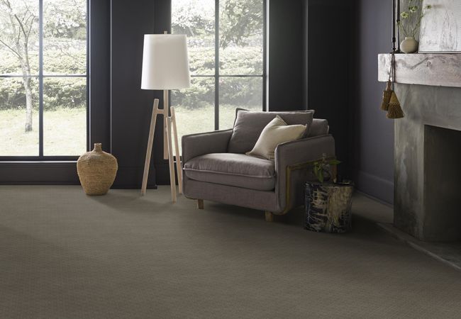 Anderson Tuftex Carpet Muse Dash view 2