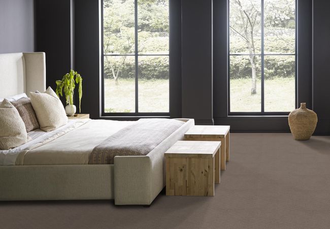 Anderson Tuftex Carpet Muse Enigma view 2