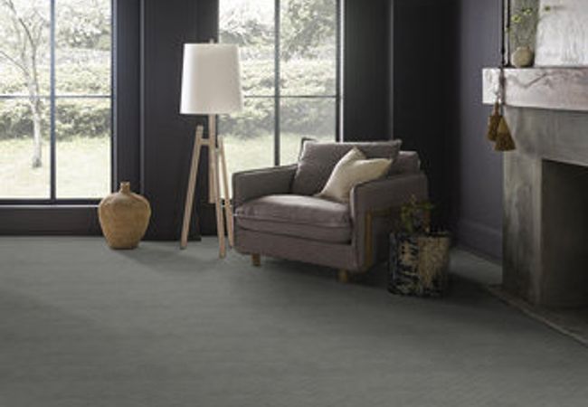 Anderson Tuftex Carpet Muse Magical view 2