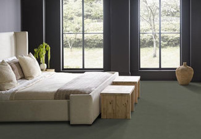 Anderson Tuftex Carpet Muse Wonder view 3