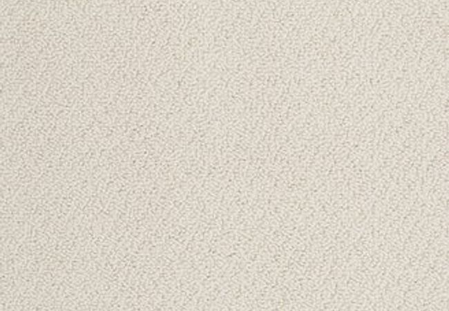 Anderson Tuftex Carpet On Point Adrift