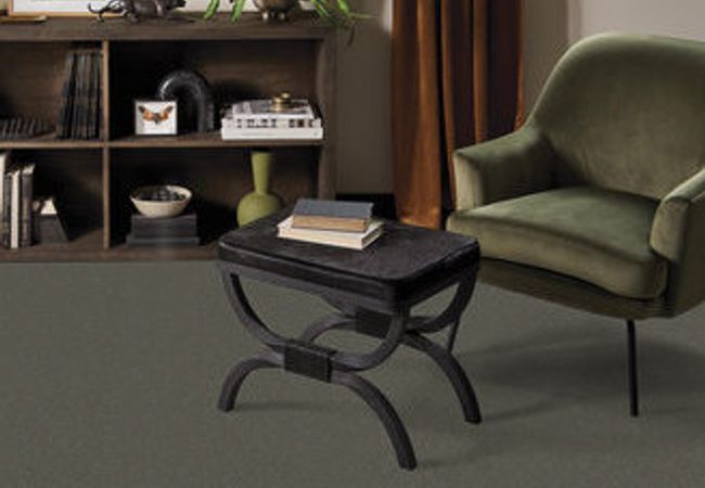 Anderson Tuftex Carpet On Point Earth - Image 2