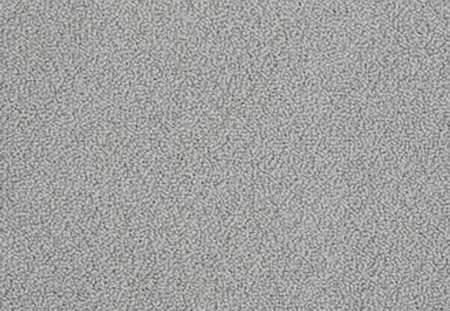 Anderson Tuftex Carpet On Point Hazy Gray