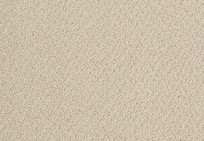 Anderson Tuftex Carpet On Point Mimosa