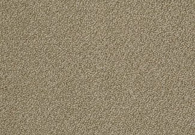 Anderson Tuftex Carpet On Point Suede