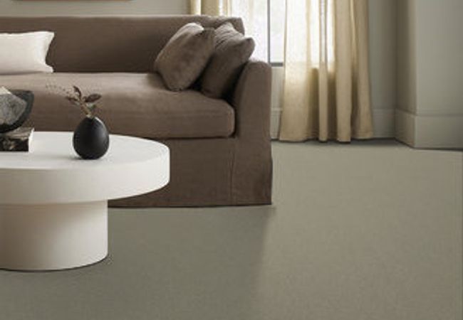 Anderson Tuftex Carpet On Point Taupestone - Image 2