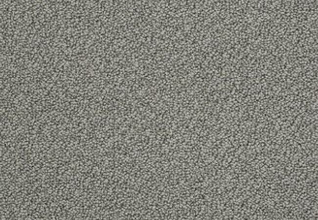 Anderson Tuftex Carpet On Point Tundra